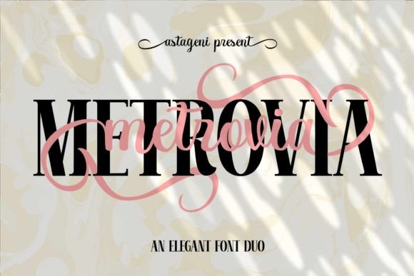 Using Metrovia Duo to Sharpen Your Campaign's Message